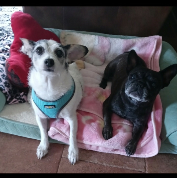 Meet your Posher, Ewa - Picture 8 of 16